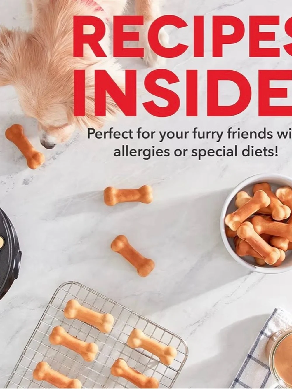 NIB Dash Express Dog Treat Maker PLUS Ash Paw-Print Dog Treat Maker